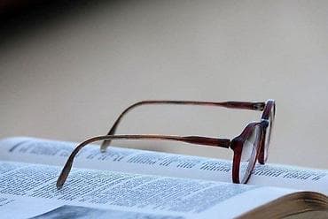 Vintage STEVEN GREY dioptijski ram Mona Lisa. Made in Germany. Počeli at lalafo.rs — 4 Vintage STEVEN GREY dioptijski ram Mona Lisa. Made in Germany. Počeli — 4