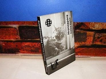 Hronospore svetlana slapšak 1988 tvrd povez 18 cm dva lista otcepnjena na lalafo.rs — 1 Hronospore svetlana slapšak 1988 tvrd povez 18 cm dva lista otcepnjena — 1