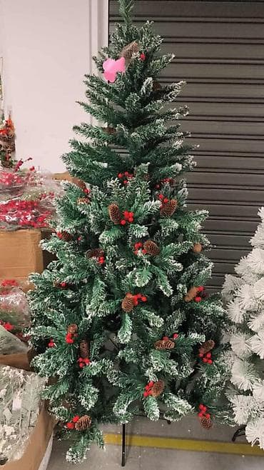 Cm
cm
cm
1cm 🍄 na lalafo.rs — 3 Cm
cm
cm
1cm 🍄 — 3