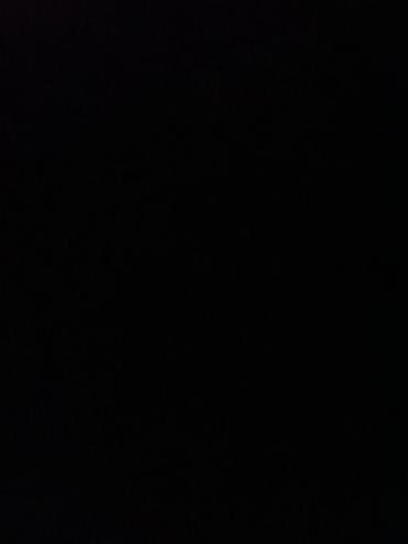 Francuski buldog lilac, zenka stara oko 2 godine na lalafo.rs Francuski buldog lilac, zenka stara oko 2 godine