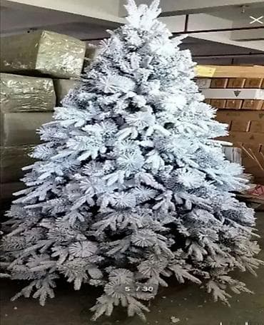 Velika novogodisnja jelka s7ra. velika novogodisnja jelka s7ra stiže na lalafo.rs — 1 Velika novogodisnja jelka s7ra. velika novogodisnja jelka s7ra stiže — 1