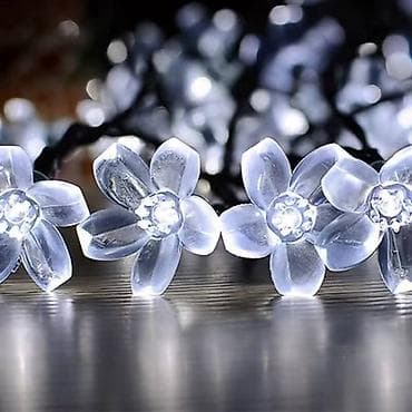 Solarne lampice
Cvet i pcele solarne
5m
Cena: 2400din v na lalafo.rs — 5 Solarne lampice
Cvet i pcele solarne
5m
Cena: 2400din v — 5