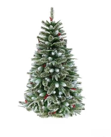 Jelka na lalafo.rs Jelka