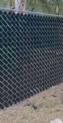 Garden Decor: TRAKE ZA OGRADE KOJE SU NEPROVIDNE, I VODOPERIVE.DUŽINU I ŠIRINU at lalafo.rs — 1 Garden Decor: TRAKE ZA OGRADE KOJE SU NEPROVIDNE, I VODOPERIVE.DUŽINU I ŠIRINU — 1