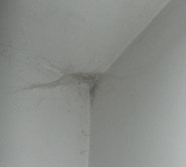 Rešavanje problema vlage, curenja, buđi, kondenza, algi i gljivica i na lalafo.rs Rešavanje problema vlage, curenja, buđi, kondenza, algi i gljivica i