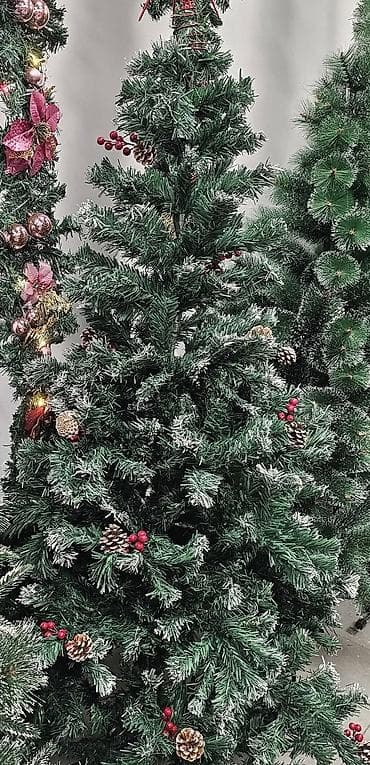 Jelka sa sisarkama i bobicama 120cm……4900 150cm……6900 180cm……8800 at lalafo.rs Jelka sa sisarkama i bobicama 120cm……4900 150cm……6900 180cm……8800