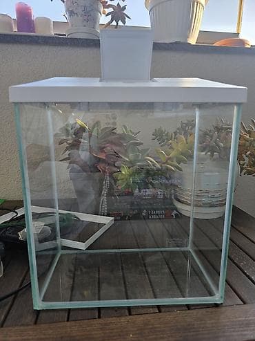 Akvarijum za ribice, zapremina 19 l. Komplet sadrži: - Stakleni na lalafo.rs Akvarijum za ribice, zapremina 19 l. Komplet sadrži: - Stakleni