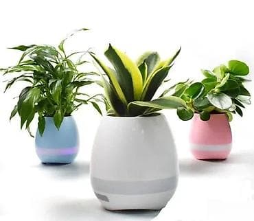 Vases and pots: Pametna muzička saksija – Bluetooth zvučnik, „touch piano“ i LED noćno at lalafo.rs — 1 Vases and pots: Pametna muzička saksija – Bluetooth zvučnik, „touch piano“ i LED noćno — 1