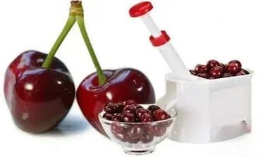 Presa za vađenje koštica iz višanja, trešanja i maslina. presa za na lalafo.rs Presa za vađenje koštica iz višanja, trešanja i maslina. presa za