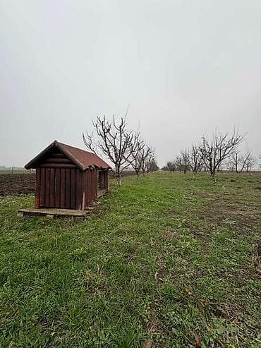 dve suknje po: Plac Ugrinovci centar, 110 ari + voćnjak Uknjižen 1/1 na ime vlasnika na lalafo.rs — 8 dve suknje po: Plac Ugrinovci centar, 110 ari + voćnjak Uknjižen 1/1 na ime vlasnika — 8