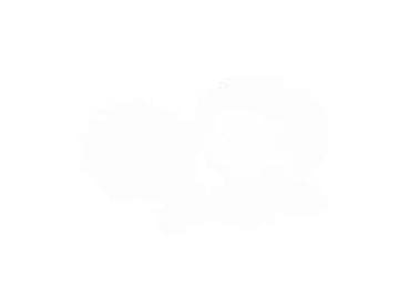 SHIMANO RD-M310 ACERA,ALTUS ROLNICE MENJAČA-SET | Set rolnica za na lalafo.rs SHIMANO RD-M310 ACERA,ALTUS ROLNICE MENJAČA-SET | Set rolnica za