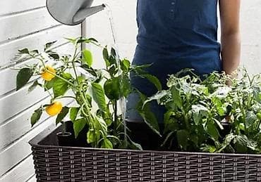 prsluk jaknica mango u: Povišena žardinjera za baštu/balkon – ratan izgled, samostalna - at lalafo.rs — 6 prsluk jaknica mango u: Povišena žardinjera za baštu/balkon – ratan izgled, samostalna - — 6