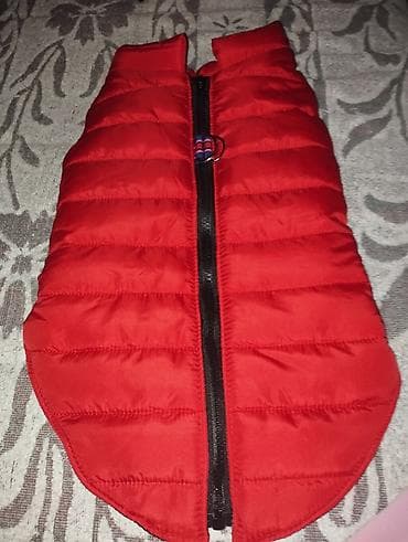 Zimski prsluk za psa – crveni, postavljen - Topao, prošiven prsluk sa na lalafo.rs — 2 Zimski prsluk za psa – crveni, postavljen - Topao, prošiven prsluk sa — 2