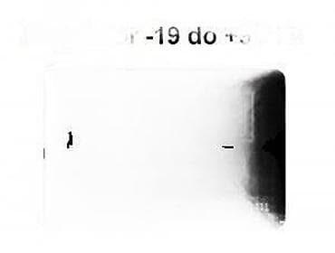 Termostati za veš mašine: Digitalni termostat/regulator temperature XH-W1411 - Opseg merenja i na lalafo.rs — 6 Termostati za veš mašine: Digitalni termostat/regulator temperature XH-W1411 - Opseg merenja i — 6