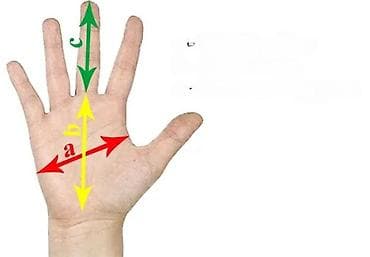 Equipment for cyclists: Motocross/MTB zaštitne rukavice – FOX Bomber (muški) - Model: FOX at lalafo.rs — 1 Equipment for cyclists: Motocross/MTB zaštitne rukavice – FOX Bomber (muški) - Model: FOX — 1