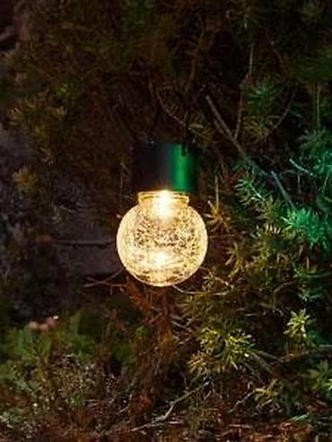 bastenske palme: SOLARNA BASTENSKA LAMPA NOVA SOLARNA STAKLENA KUGLA AKCIJA | Cene at lalafo.rs — 5 bastenske palme: SOLARNA BASTENSKA LAMPA NOVA SOLARNA STAKLENA KUGLA AKCIJA | Cene — 5