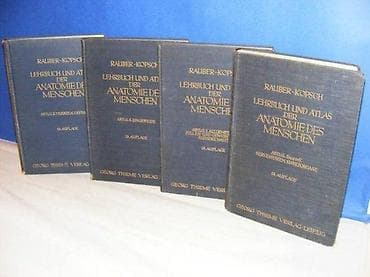 Rauber-Kopsch 1-4Lehrbuch und Atlas der Anatomie des Menschen na lalafo.rs Rauber-Kopsch 1-4Lehrbuch und Atlas der Anatomie des Menschen