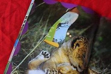 NATIONAL GEOGRAPHIC JUNIOR 31 | National Geographic Junior broj 31 at lalafo.rs — 7 NATIONAL GEOGRAPHIC JUNIOR 31 | National Geographic Junior broj 31 — 7