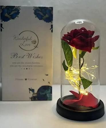Večna Ruža - Ruža pod Staklenim Zvonom sa LED Lampicama 🌹 NOVO, u na lalafo.rs — 1 Večna Ruža - Ruža pod Staklenim Zvonom sa LED Lampicama 🌹 NOVO, u — 1