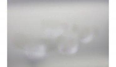 prsluk jaknica mango u: LED dekorativne svećice u obliku belih ruža – set 4 komada (Flower at lalafo.rs — 7 prsluk jaknica mango u: LED dekorativne svećice u obliku belih ruža – set 4 komada (Flower — 7