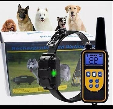 Elektronska dresura za pse – komplet sa daljinskim upravljačem - na lalafo.rs Elektronska dresura za pse – komplet sa daljinskim upravljačem -