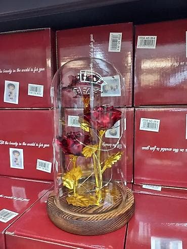 Večna LED ruža u staklu - Idealan poklon za 8. mart 🌹💡 NOVO! "Večna" na lalafo.rs — 4 Večna LED ruža u staklu - Idealan poklon za 8. mart 🌹💡 NOVO! "Večna" — 4