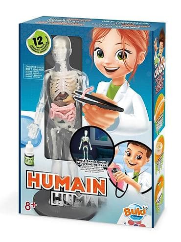 Eduktivni komplet “Human – Buki France” (8+) - Anatomski model na lalafo.rs Eduktivni komplet “Human – Buki France” (8+) - Anatomski model