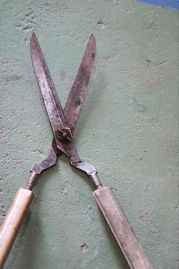 Seeds and seedlings: Makaze Makaze, stare kvalitetne, proizvedene u Nemackoj, drske nisu at lalafo.rs — 3 Seeds and seedlings: Makaze Makaze, stare kvalitetne, proizvedene u Nemackoj, drske nisu — 3