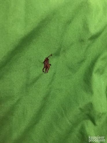 Košulja Ralph Lauren, bоја - Zelena na lalafo.rs — 3 Košulja Ralph Lauren, bоја - Zelena — 3