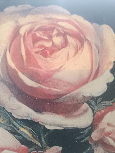 Slika na kanvas platnu kao nova, bez ostecenja Kuoljena u Italiji na lalafo.rs — 2 Slika na kanvas platnu kao nova, bez ostecenja Kuoljena u Italiji — 2