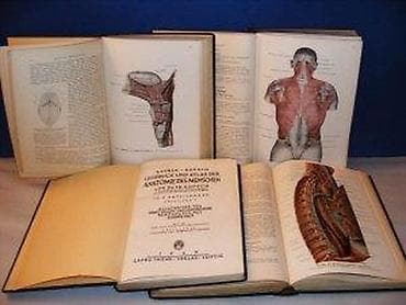 Rauber-Kopsch 1-4Lehrbuch und Atlas der Anatomie des Menschen na lalafo.rs — 6 Rauber-Kopsch 1-4Lehrbuch und Atlas der Anatomie des Menschen — 6
