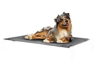 prsluk jaknica mango u: Povišeni krevet za pse – Zoofari - Stabilna, metalna konstrukcija sa at lalafo.rs — 8 prsluk jaknica mango u: Povišeni krevet za pse – Zoofari - Stabilna, metalna konstrukcija sa — 8