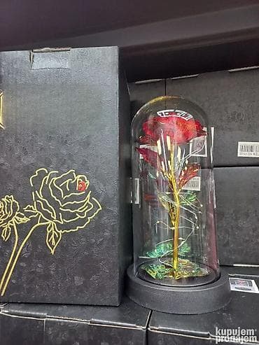Večna LED ruža u staklu - Idealan poklon za 8. mart 🌹💡 NOVO! "Večna" na lalafo.rs — 5 Večna LED ruža u staklu - Idealan poklon za 8. mart 🌹💡 NOVO! "Večna" — 5