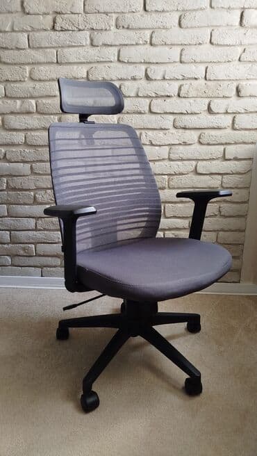 Kancelarijska stolica. Ergonomska kancelarijska stolica sa mrežastim na lalafo.rs Kancelarijska stolica. Ergonomska kancelarijska stolica sa mrežastim