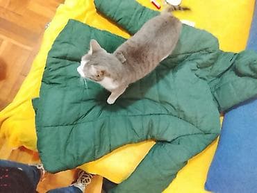 Zimska ženska jakna sa kapuljačom – tamnozelena - Model: duža na lalafo.rs — 4 Zimska ženska jakna sa kapuljačom – tamnozelena - Model: duža — 4