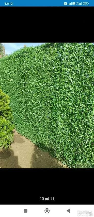 Ograda od pvc trave 950 din na lalafo.rs — 3 Ograda od pvc trave 950 din — 3