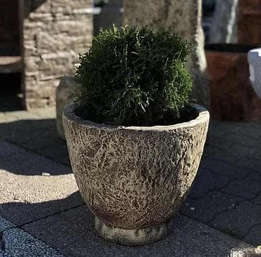🌸 Opis proizvoda: Betonska saksija (mala) 🧱 Materijal i izrada Vrsta na lalafo.rs — 3 🌸 Opis proizvoda: Betonska saksija (mala) 🧱 Materijal i izrada Vrsta — 3