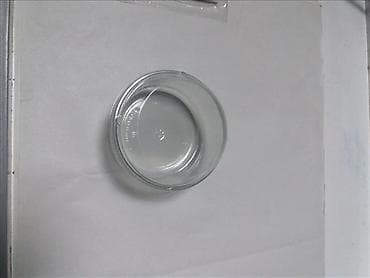 kom sa etiketom: Case za cizkejk posude za cizkejk Akcija case za cheesecake 16 at lalafo.rs — 2 kom sa etiketom: Case za cizkejk posude za cizkejk Akcija case za cheesecake 16 — 2