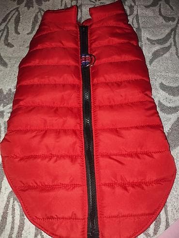 Zimski prsluk za psa – crveni, postavljen - Topao, prošiven prsluk sa na lalafo.rs — 3 Zimski prsluk za psa – crveni, postavljen - Topao, prošiven prsluk sa — 3