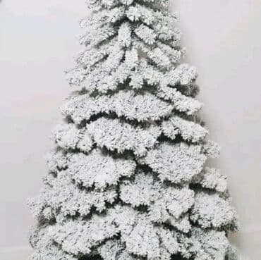 Jelka na lalafo.rs Jelka