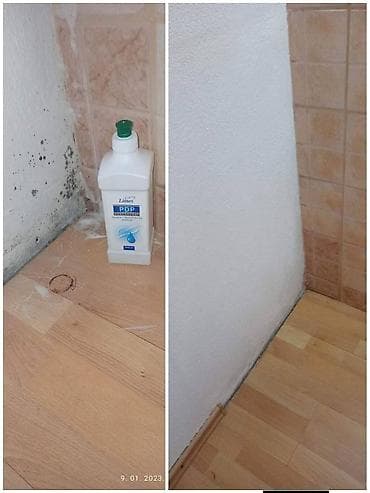 🌿 PDP koncentrat – efikasno protiv buđi! 🌿 Za zdrav i čist dom bez na lalafo.rs — 2 🌿 PDP koncentrat – efikasno protiv buđi! 🌿 Za zdrav i čist dom bez — 2