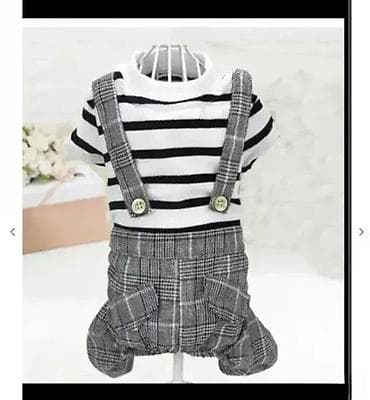 za svaki dan: Kompletić za kuce Veličina L Informacije Pakete šaljemo postexpresom at lalafo.rs — 1 za svaki dan: Kompletić za kuce Veličina L Informacije Pakete šaljemo postexpresom — 1