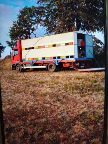 Poljoprivredne mašine: Kontejner za 56 Lr kosnica - Specijalizovana nadgradnja za selidbu na lalafo.rs Poljoprivredne mašine: Kontejner za 56 Lr kosnica - Specijalizovana nadgradnja za selidbu