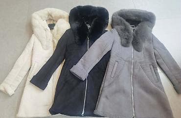 Jakne
Cena 7500
Vel.S m l xl
V65 na lalafo.rs Jakne
Cena 7500
Vel.S m l xl
V65