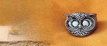 women's secret neseser: Prsten Sova I Tirkizni prsten. 1. Prsten Sova Prekrasan prsten Sova at lalafo.rs — 8 women's secret neseser: Prsten Sova I Tirkizni prsten. 1. Prsten Sova Prekrasan prsten Sova — 8