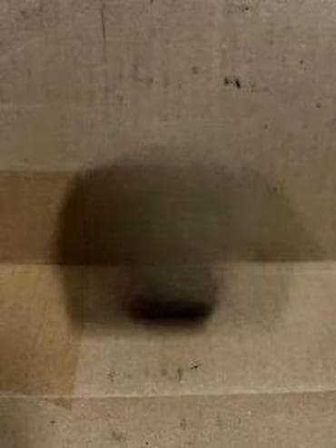 prsluk jaknica mango u: NETGEAR WiFi ekstender (pojačivač signala) – model EX2700 - Tip at lalafo.rs — 9 prsluk jaknica mango u: NETGEAR WiFi ekstender (pojačivač signala) – model EX2700 - Tip — 9