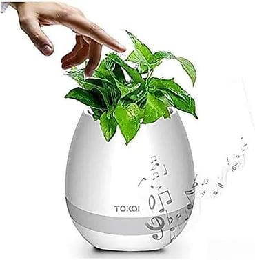 Vases and pots: Pametna muzička saksija – Bluetooth zvučnik, „touch piano“ i LED noćno at lalafo.rs — 9 Vases and pots: Pametna muzička saksija – Bluetooth zvučnik, „touch piano“ i LED noćno — 9