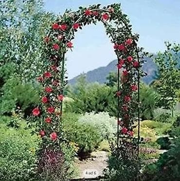 prsluk jaknica mango u: LIVARNO Home – Metalni luk za ruže (Rose Arch) - Dekorativan vrtni at lalafo.rs — 10 prsluk jaknica mango u: LIVARNO Home – Metalni luk za ruže (Rose Arch) - Dekorativan vrtni — 10