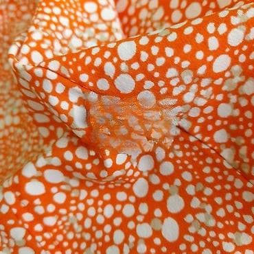 Košulja jack wolfskin, vel. L marka: jack wolfskin veličina: l na lalafo.rs — 6 Košulja jack wolfskin, vel. L marka: jack wolfskin veličina: l — 6