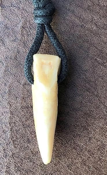 Ajkulin Zub Ogrlica sa ZUBOM AJKULE – Tribal Stil Ogrlica sa na lalafo.rs — 1 Ajkulin Zub Ogrlica sa ZUBOM AJKULE – Tribal Stil Ogrlica sa — 1
